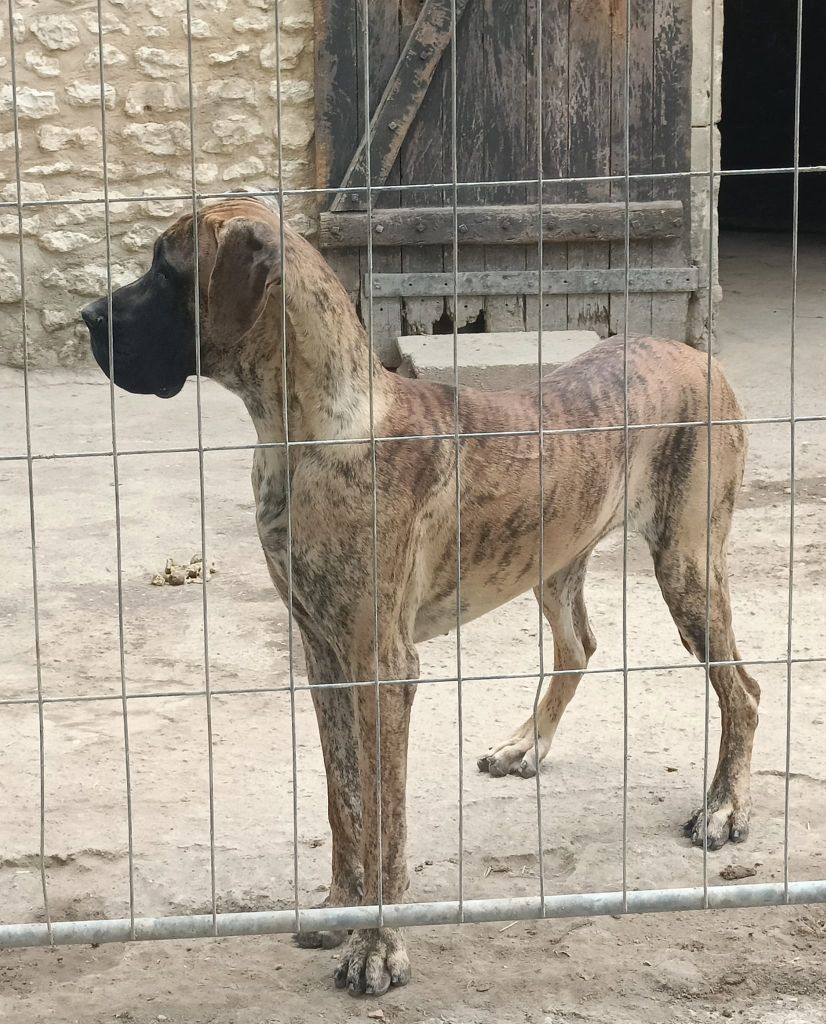 Tequilla Des Terres De Becquerel