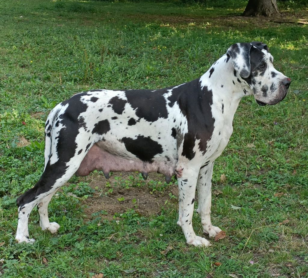 Olympe Des Terres De Becquerel